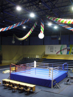 Ринг на помосте Totalbox Р100 50-4