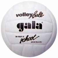 Волейбольный мяч тренировочный "Gala School Foam" BV5031S, размер 5