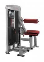 Разгибание спины, с мини-компьютером, весовой стек 210ф, MBK-1600 AeroFit
