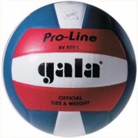 Волейбольный мяч матчевый "Gala Pro-Line Colour" BV5211L, размер 5