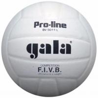 Волейбольный мяч матчевый "Gala Pro-Line Competition" BV5011L, размер 5