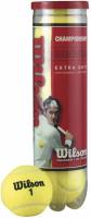 Теннисный мяч Wilson Championship WRT110000/T1110E, 4 штуки