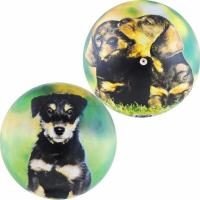 Мяч детский Innovative Щенки R549002, поливинилхлорид, диаметр 23 см, зеленый