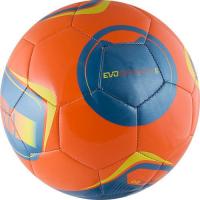 Футбольный мяч любительский "Puma evoSPEED5.2" 8214303, размер 5