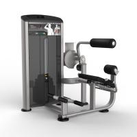 Разгибание спины, опора - валик 275ф AeroFit IE9532