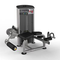 Сгибание ног лежа 200ф. AeroFit IE9521