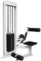 Пресс-машина + разгибание спины ProfiGym