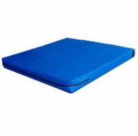 Мат гимнастический ПМ1110, 22 плотность (размер 1х1х0.10), винилискожа, на молнии