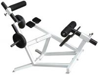 Маятник для пресса и спины ProfiGym