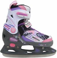 Коньки ледовые раздвижные Action PW-226, размер 37-40