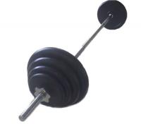 Штанга 50 кг (для грифа L=125 см, замок гл.вт.+2 гр.гантели)