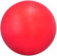 Мяч гимнастический DFC ABS-55, ПВХ, диаметр 55 см, красный