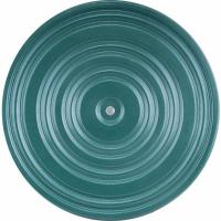 Диск здоровья 28 см, металл, окрашенный (зеленый)