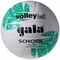 Волейбольный мяч тренировочный "Gala School" BV5031L, размер 5