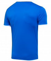 Футболка футбольная CAMP Origin JFT-1020-071, синий/белый