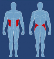 Тренажер для боковых сгибаний AeroFit CEO-200