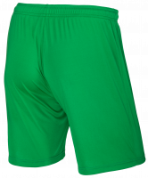 Шорты футбольные JFS-1110-031, зеленый/белый