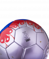 Мяч футбольный Russia №5