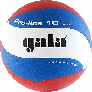 Мяч волейбольный  "GALA Pro-Line 10" арт. BV5581S, р. 5,синт.кожа ПУ Microfiber,клееный,бут.кам,бело-гол-крас