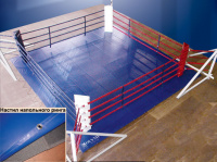 Ринг напольный Totalbox Р 68-5, в силовой раме