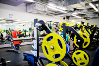 Диск олимпийский обрезиненный Alex P-RO-20K-DSA, синий, 20 кг