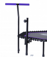 Батут TR-401 112 см с держателем, фиолетовый