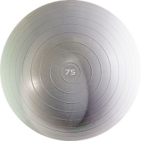 СЦ*Мяч гимн. "TORRES", арт.AL100175, диам. 75 см, эласт. ПВХ, с защит. от взрыва, с насосом, серебр