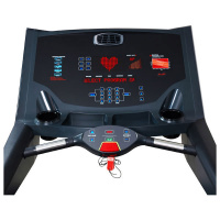 Беговая дорожка AeroFit Professional 9900T