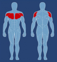 Баттерфляй AeroFit CPD-800