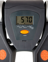 Министеппер поворотный с эспандерами DFC Twister SC-S008