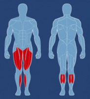 Жим ногами AeroFit CLP-600