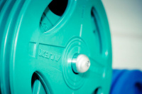 Диск олимпийский обрезиненный Alex P-RO-10K-DSA, зеленый, 10 кг