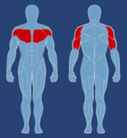 Трицепс AeroFit CAC-700
