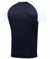 Футболка футбольная CAMP Reglan JFT-1021-019-K,черный/белый, детская
