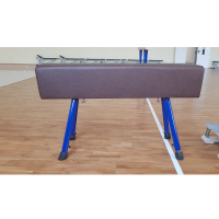 Конь гимнастический