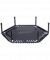 Батут TR-401 101 см с держателем, фиолетовый