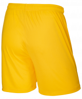 Шорты футбольные JFS-1110-041, желтый/белый