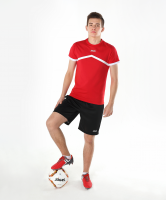 Футболка тренировочная JCT-1040-021, хлопок, красный/белый