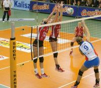 Волейбольная сетка Huck 5088-06, 3 мм