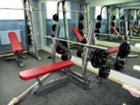 Олимпийская горизонтальная скамья со стойками AeroFit IT7014