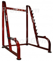 Стойка для приседаний со страховочной плошадкой ProfiGym