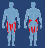 Сведение/Разведение ног AeroFit CTH-1100