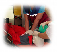 Манекен Totalbox Уникен 160-60