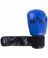 Перчатки боксерские Spider Blue, к/з, 8 oz