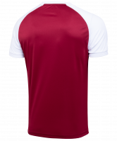 Футболка футбольная CAMP Reglan JFT-1021-G1-K, гранатовый/белый, детская