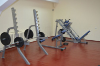 Жим ногами / Гак-машина AeroFit IFLPHS