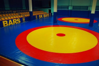 Борцовский ковер трехцветный, 15х5,1м