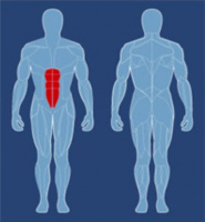 Пресс AeroFit CAB-1000