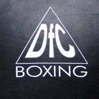 Мешок настенный DFC TR3