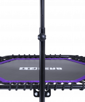 Батут TR-401 112 см с держателем, фиолетовый